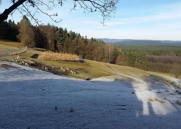 Ferienhaeuser Zur Schaeferei شقة