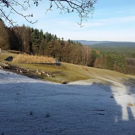 Ferienhaeuser Zur Schaeferei شقة