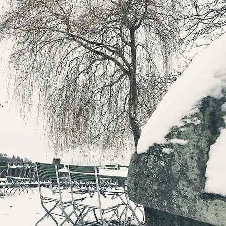 Ferienhaeuser Zur Schaeferei Lägenhet