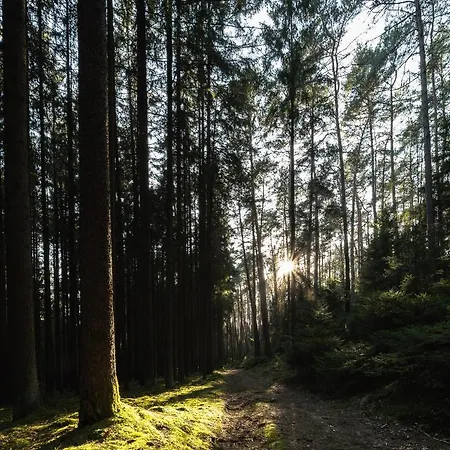 Ferienhaeuser Zur Schaeferei